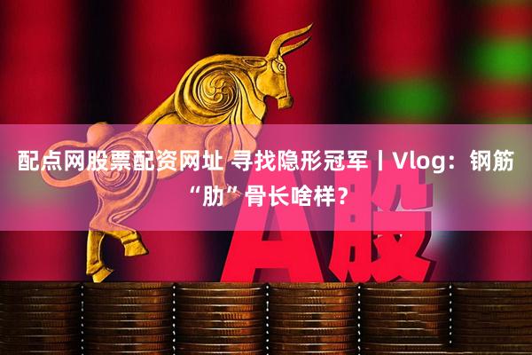 配点网股票配资网址 寻找隐形冠军丨Vlog：钢筋“肋”骨长啥样？