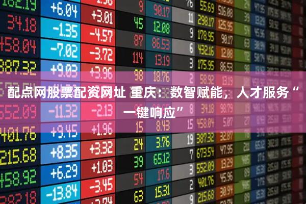 配点网股票配资网址 重庆：数智赋能，人才服务“一键响应”