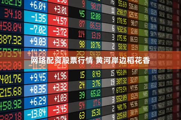 网络配资股票行情 黄河岸边稻花香
